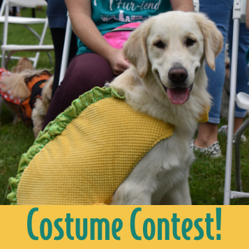 Costume contest