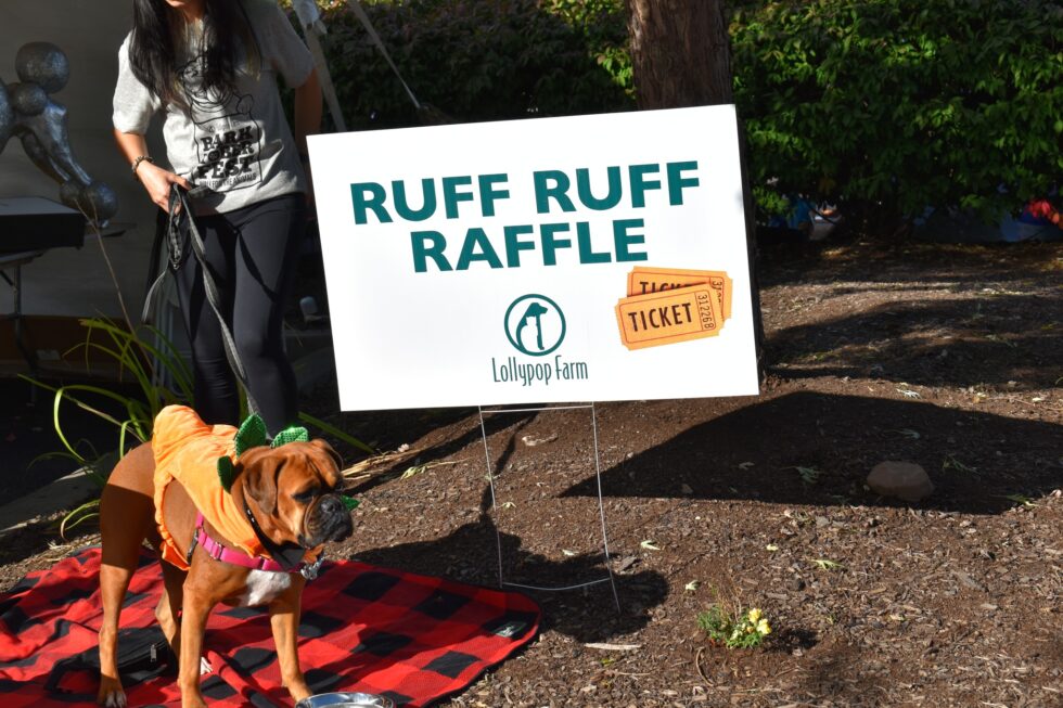 A dog near a sign for a "Ruff Ruff Raffle" event with tickets.