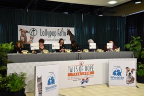 Panel discussion at animal charity event.