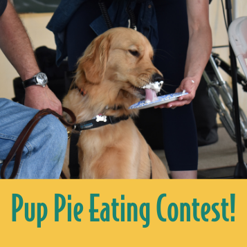 pie contest